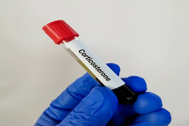Corticosteroids Tvm
