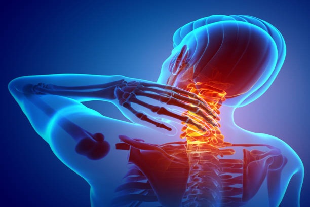 Bone Health Management tvm