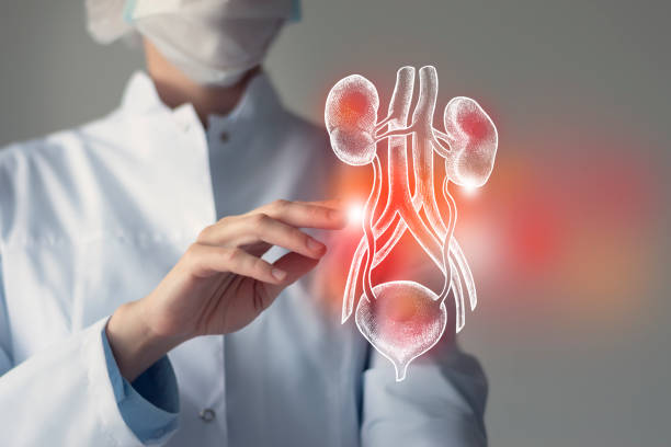 Kidney Biopsy Tvm