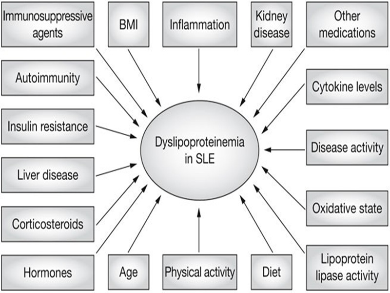 Core Medications in SLE Treatment - IRIS Clinics Tvm
