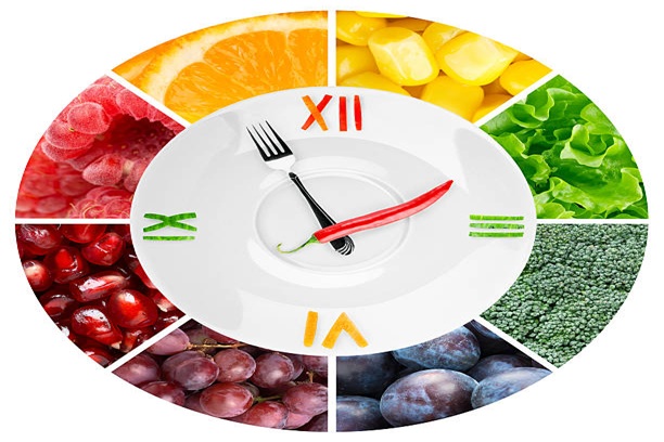 Seasonal Diet Adjustments Tvm