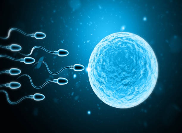 Infertility, trivandrum