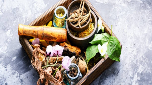 Herbal Remedies tvm