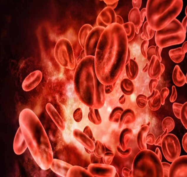 Raktapitta (Bleeding Disorders), trivandrum