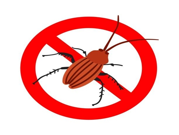 Cockroach Control Services, trivandrum