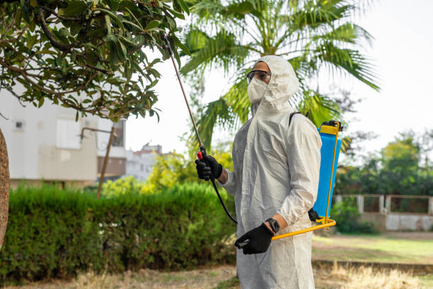 Fogging and Misting Treatments Tvm