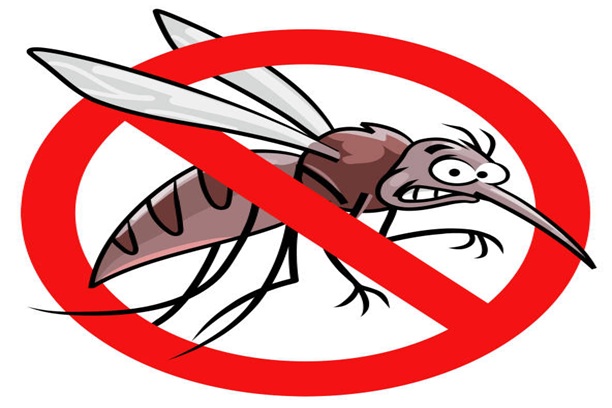 Customized Mosquito Control Plans tvm