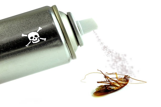 Cockroach Control Treatment Tvm