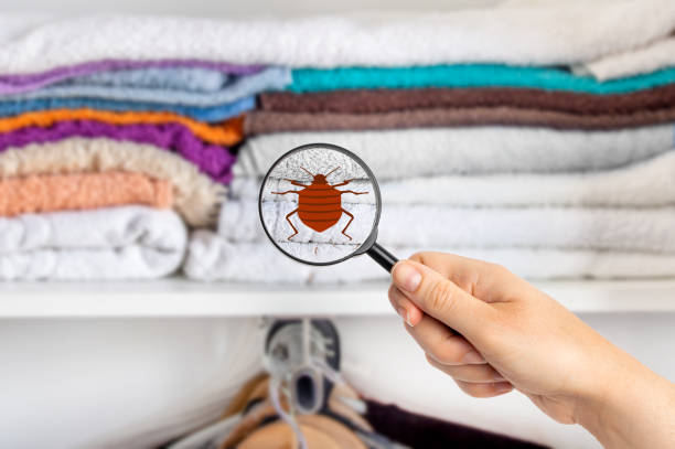 Flea & mite extermination tvm
