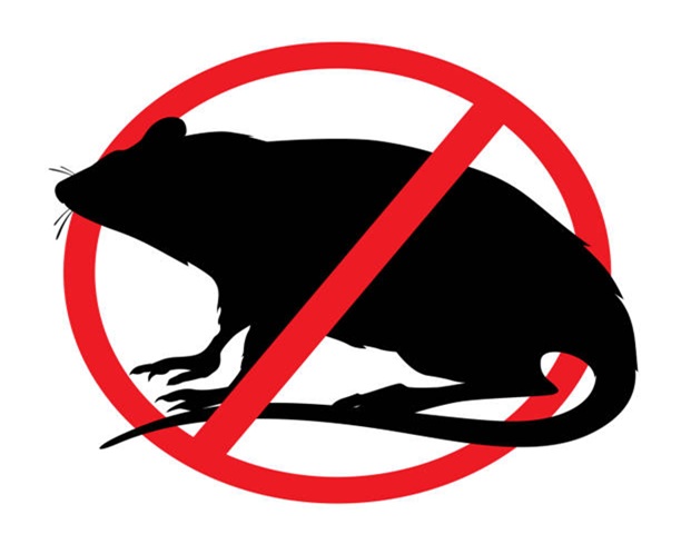 Rats Control Service, trivandrum