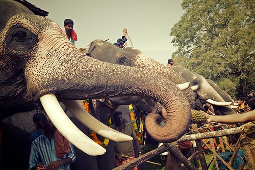 Images of Thrissur