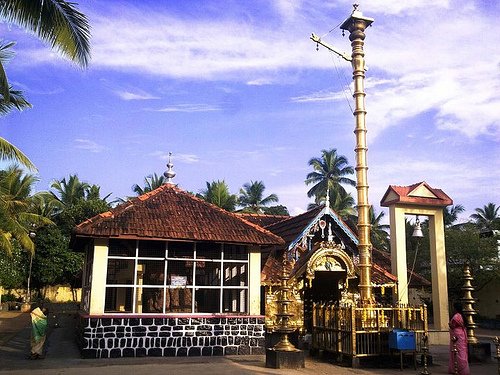  Ammachi Plavu Trivandrum