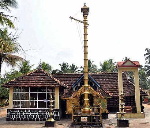 Ammachi Plavu Thiruvananthapuram