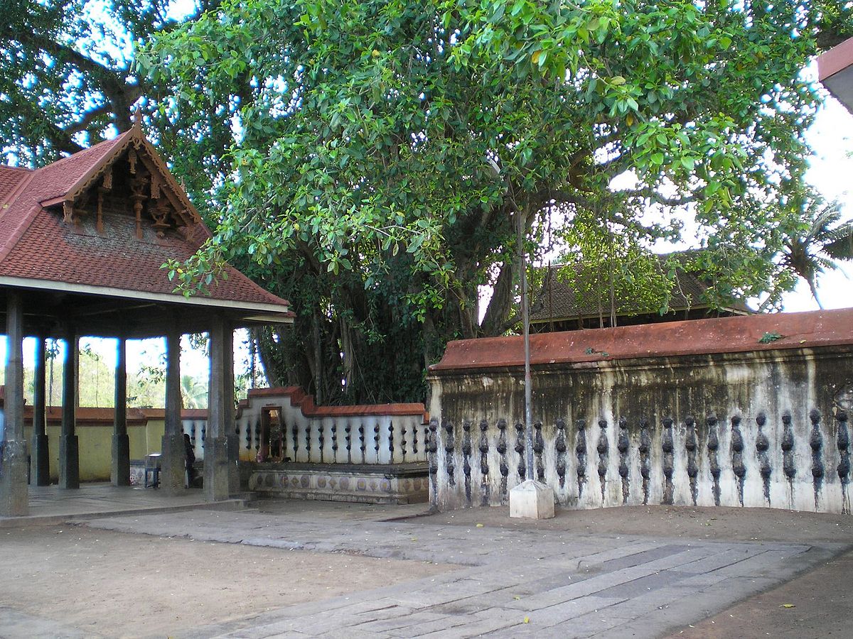 Beautiful view of  Janardhana Swamy Temple, Thiruvananthapuram 
