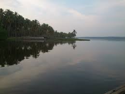 Attractions of Kadinamkulam Backwaters 
