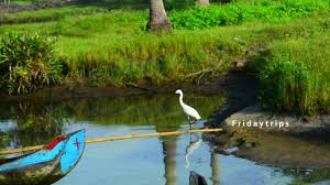  Kadinamkulam Backwaters Trivandrum 