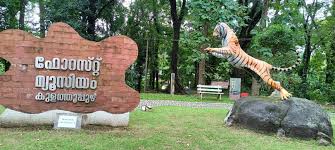 Attractions of  Forest Museum