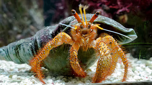 Beautiful view of Vizhinjam Marine Aquarium, Thiruvananthapuram 